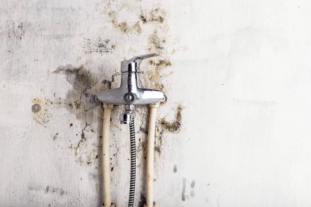 Best Post-Flood Mold Remediation in Hapeville, GA