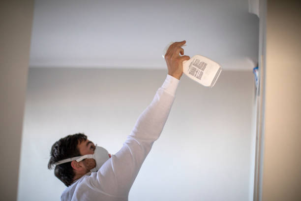Best Attic Mold Remediation in Hapeville, GA