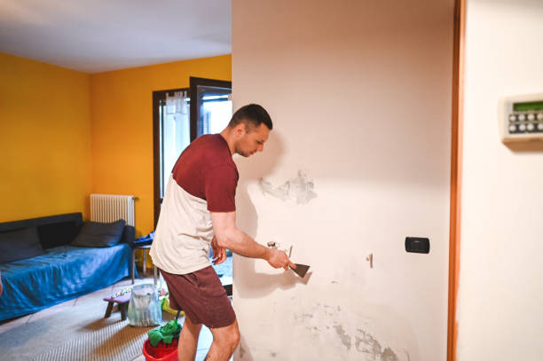 Best Emergency Mold Remediation in Hapeville, GA